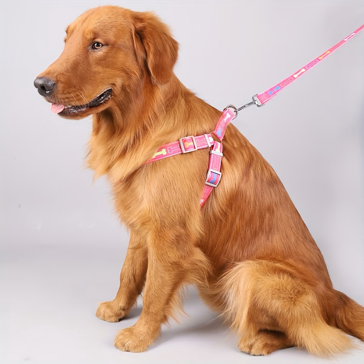 Adjustable Dog Harness with Qu - D Ring Strap review and price