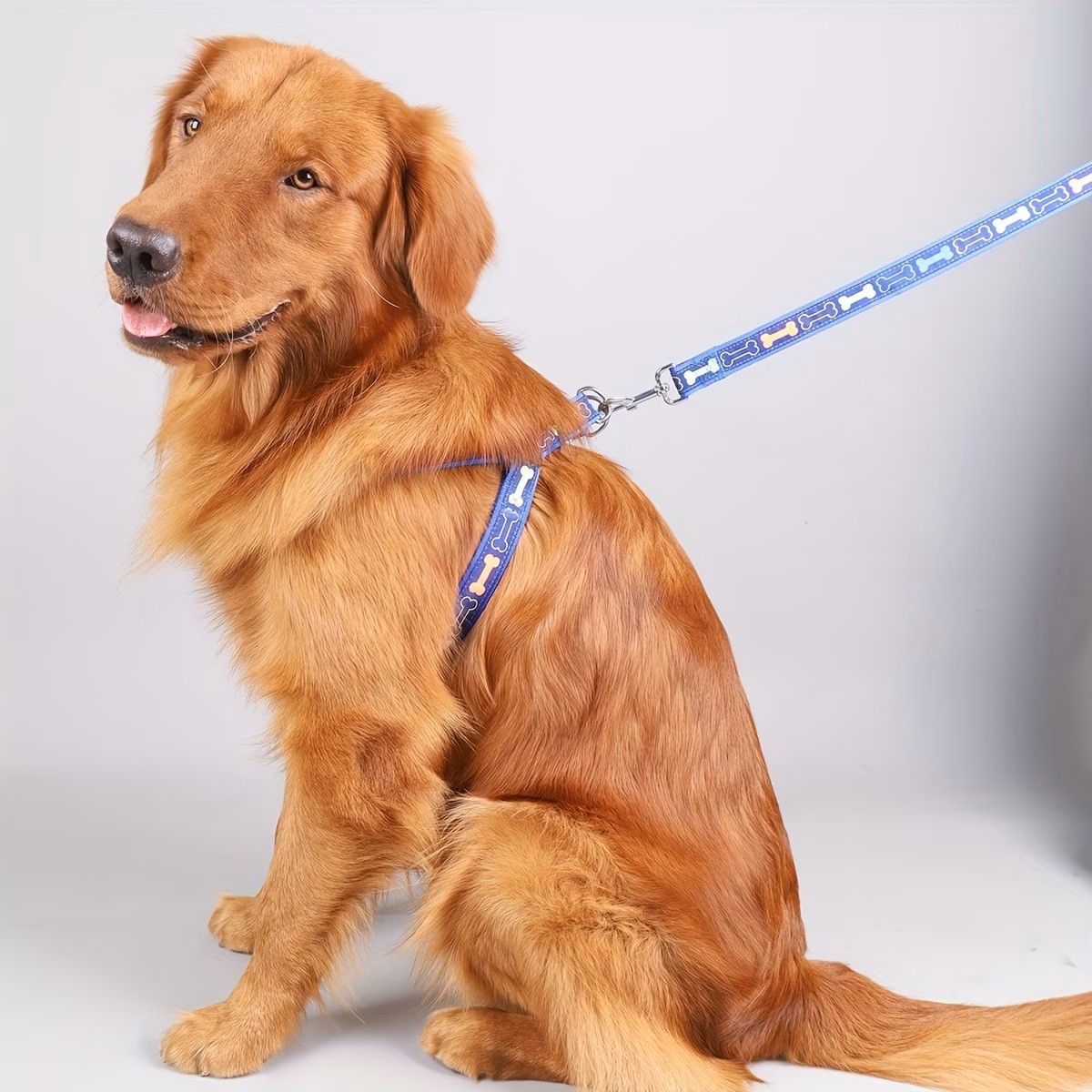 Adjustable Dog Harness with Qu - D Ring Strap review and price