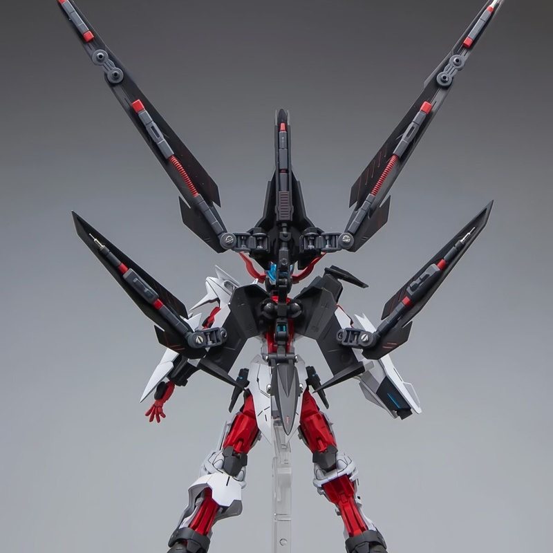HG 1/144 Astray No-Name Astray - Bandai Gundam Rg review and price