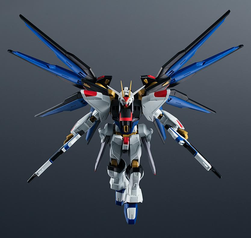 Bandai Genuine RG STRIKE FREED - Bandai Gundam Rg review and price