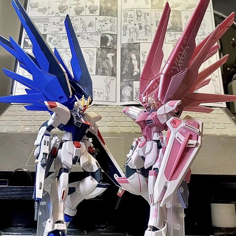JMS HG 1/144 ZY-06 Freedom Ass - Bandai Gundam Rg review and price